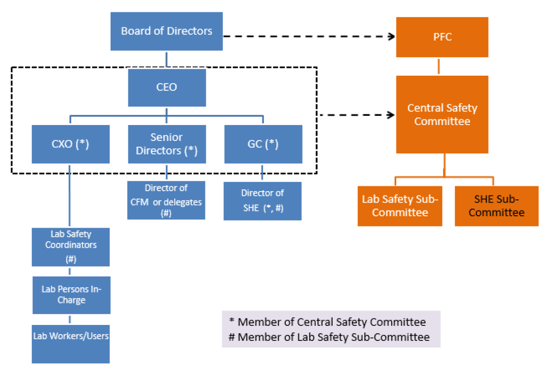 Diagrammatic Representation of the Governance Model
